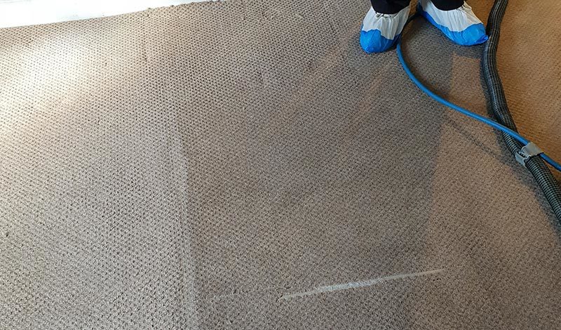 Grey carpet before and after 2